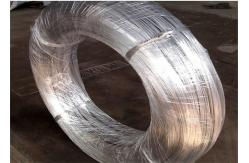 China 1.6mm Anti Rust Electrogalvanized Wire Making Wire Mesh supplier