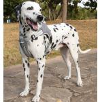 Adjustable Pet Harness Leash Large Cats Soft Kittens Vest With Reflective Strip
