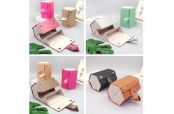China 2024 new foldable hard sunglasses cases for 5 paris eyewear display supplier