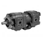 EIPH3-020RK23 Hydraulic Machine Pump , Gear Vane Pump EIPH6-080RA23 for sale