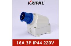 China Industrial Three Phase 16A 32A IP44 IEC Panel Mount Socket Waterproof supplier