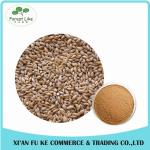 Barley Malt Extract Powder Hordenine 98% for sale