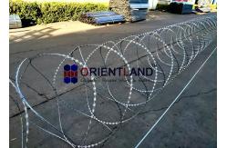 China Airport Bto-30 Galvanised Razor Wire 54-56 Loops supplier