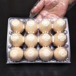 Polylactic Acid PLA Sheet Roll For Egg Carton Tray PLA Food Containers