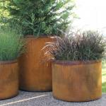 Customized Style Large Indoor Potted Plants Perfect for Indoor Plants for sale