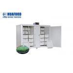 250kg/d Industrial Automatic Bean Sprout Machine For Soybean And Mungbean Seeds for sale