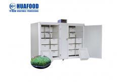 China 250kg/Day Automatic Food Processing Machines Mung Bean Sprout Machine supplier
