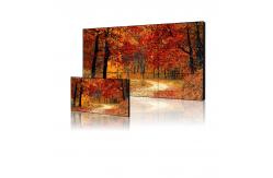 China 1.8mm Narrow Bezel CVBS 700cd/m2 LCD Video Wall 185W supplier