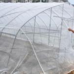 3m Insect Net Mesh 50 Mesh To Protect Fruits Bug Mesh Netting