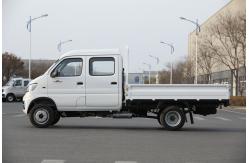 China DFSK 4x2 T3 Gasoline Mini Cargo Truck supplier
