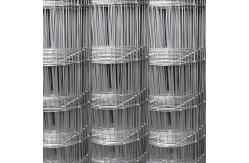 China 4FT High Galvanized Cattle Farm Fence Waterproof Fixed Knot Sheep Fence Roll supplier
