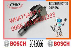 China common rail fuel injector 2045066 0445110661 0445110560 0445110519 0445110351 supplier