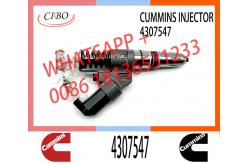 China M11 Engine Injector 4307547 4928517 4903472 3411756 3080429 2080429 supplier