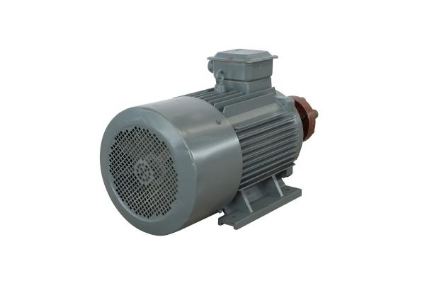 OEM ODM Variable Speed Wind Turbine Generator 5KW PMG Generator