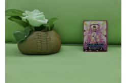 China OPP VMPET CPP Material Custom Card Sleeves Gravure Printing Size 66X91mm supplier