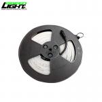 Anti Explosive Strip Lighting For Coal Mines Tunnel Industrials Ip68 Flexible Led Lighting Strips for sale