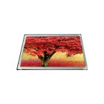 18.5 inch G185BCE-LE1 Industrial LCD display 1366*768 LCD Screen for sale