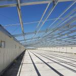 PPGL Poultry Livestock Farm House With Durable Rolling Doors for sale
