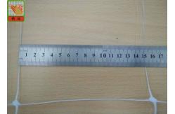 China Polypropylene Plant Support Net For Climbing Plants , White Runner Bean Netting supplier