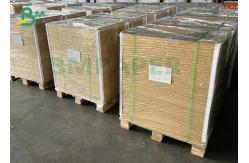 China 210g+15g Poly Coated Coffee Cups Material Paper P1S P2S Cupstock supplier