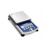 WLB EN45501 Stainless Steel 1g Electronic Platform Scale for sale