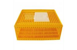 China Three Doors Broiler Transport Crates Poultry Polypropylene supplier