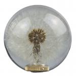 Gear shift knob with real dandelion inside for sale