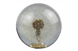 China Gear shift knob with real dandelion inside supplier