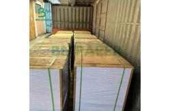 China 80gsm 100gsm Uncoated Natural White Offset Printing Book Paper 841 x 594mm supplier