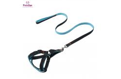 China Dog Leash Puppy Collar And Leash Set 30m Retractable Dog Lead supplier