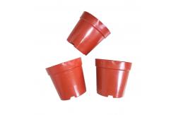 China Hydroponics PP Bonsai 85mm Orange Plastic Flower Pots With Label supplier