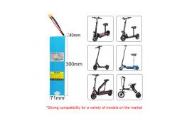 China Reliable and Efficient Electric Scooter Battery Lithium-ion/LiFePO4 supplier
