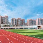 High Strength Synthetic Sports Surfaces Track All-Weather Running Track Surface for sale