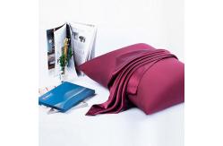 China Custom Organic 19mm Woven Mulbery Pure Silk Pillowcase For Acne Warrens supplier