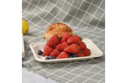 China Food Fruit Vegetable Sugarcane Compostable Serving Tableware Biodegradable Meat Trays supplier