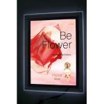 LGP Cinema Illuminated Acrylic LED Lightbox Display for sale