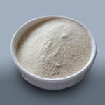Papaya Papain Enzyme 300USP-6000USP Papaya Extract Protease Powder for sale