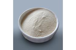 China Papaya Papain Enzyme 300USP-6000USP Papaya Extract Protease Powder supplier