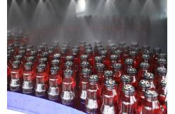 China SGS 500ml Beverage Automatic Soda Gas Filling Machine supplier