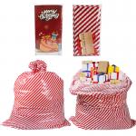 Large Reusable 50 Microns Custom Plastic Gift Bags For Holiday for sale