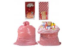 China Large Reusable 50 Microns Custom Plastic Gift Bags For Holiday supplier