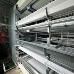 Durable & Labor-Saving: H-Type Fully Automatic Layer Cages for Modern Farms for sale