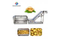 China Stainless Steel Fruit And Vegetable Processing Line Brush Cleaning And Hoisting supplier