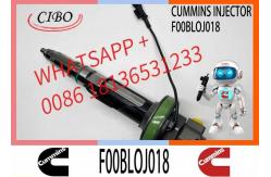 China MTU2000 Common Rail Diesel Injector MTU F0013L0J004 F00BL0J005 F00BL05011  F00BLOJ018 0986435615 supplier