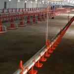 D25mm Pipe Poultry Farm Water System Chicken Self Watering System for sale