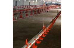 China D25mm Pipe Poultry Farm Water System Chicken Self Watering System supplier