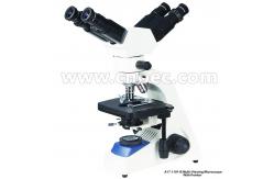 China 1000x Multi Viewing Microscope 2 Position With Halogen Lamp A17.1101 supplier