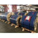 MR Grade Tin Free Steel Coils / Sheets with BA and CA Annealing for Food Packaging TFS for sale