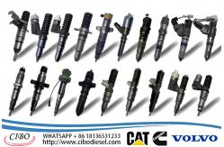 China CUMMINS Fuel Injector manufacturer