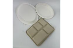 China Biodegradable Tableware Sugarcane Bagasse Pulp Paper Plate Dinnerware Sets supplier